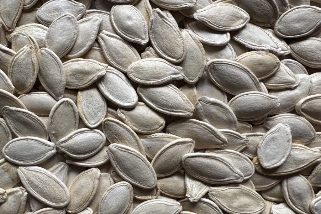 UBN Corporation Pumpkin Seeds Black Sea