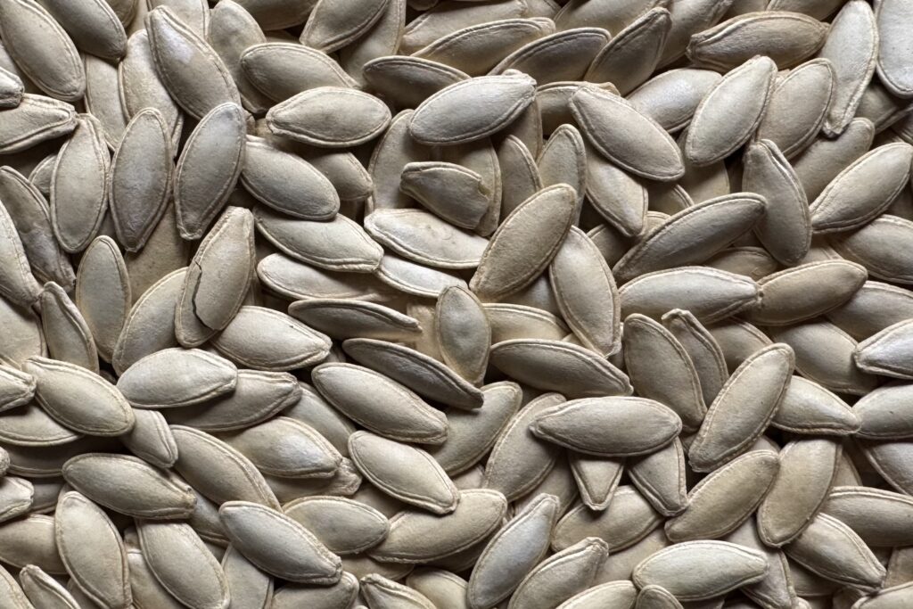 UBN Corporation Pumpkin Seeds Bulgaria